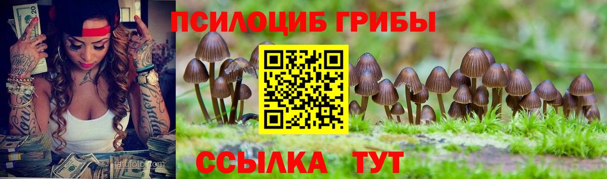 Псилоцибиновые грибы MAGIC MUSHROOMS Каменск-Шахтинский